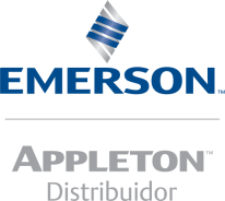 Portal Emerson / Appleton